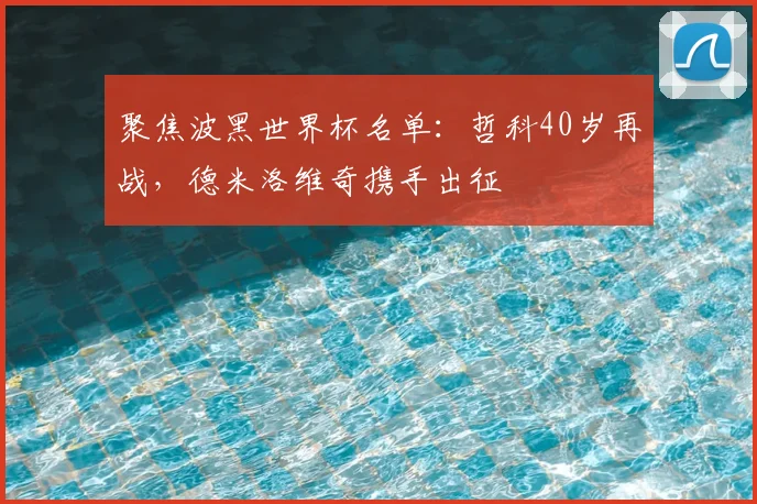 聚焦波黑世界杯名单：哲科40岁再战，德米洛维奇携手出征