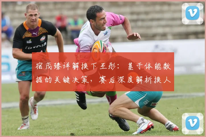 宿茂臻详解换下王彤:基于体能数据的关键决策,赛后深度解析换人时机与考量