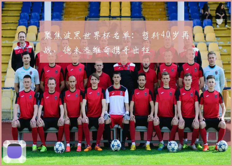 聚焦波黑世界杯名单:哲科40岁再战,德米洛维奇携手出征